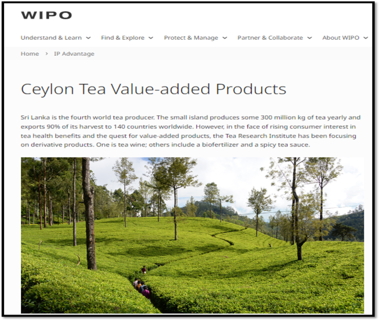 Ceylon Tea Value-added Products